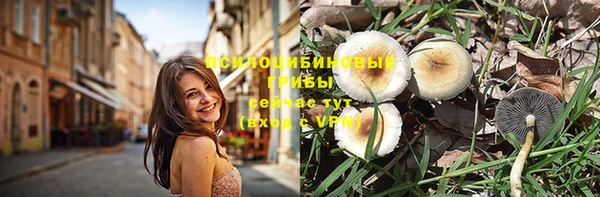 герыч Няндома