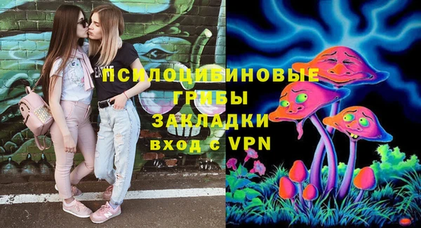 эйфоретик Бердск