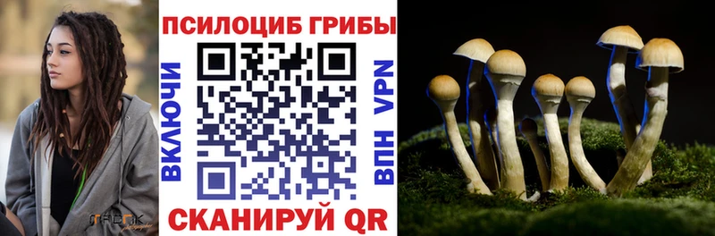 Галлюциногенные грибы MAGIC MUSHROOMS  даркнет состав  Чита 