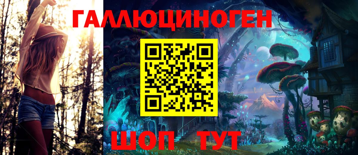 Чита  Псилоцибиновые грибы Psilocybe  Вход с VPN  Галлюциногенные грибы ЛСД 